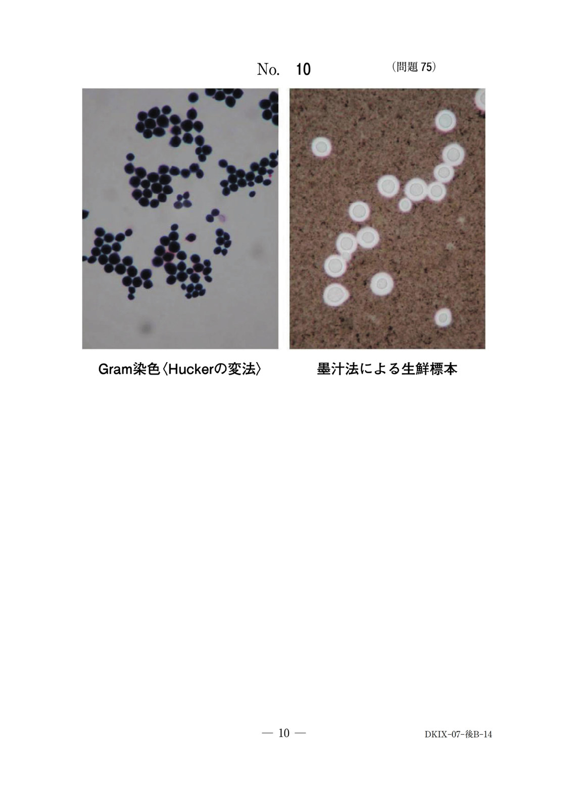 この問題の図(公式別冊)