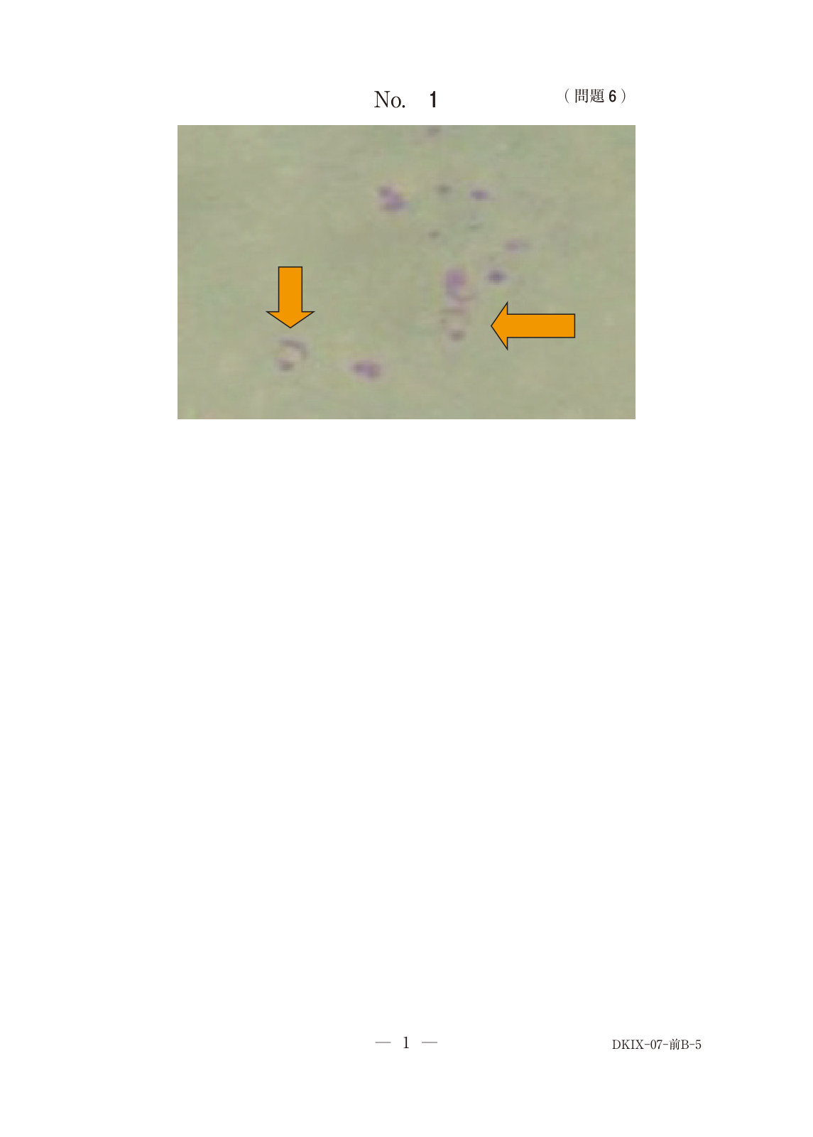この問題の図(公式別冊)