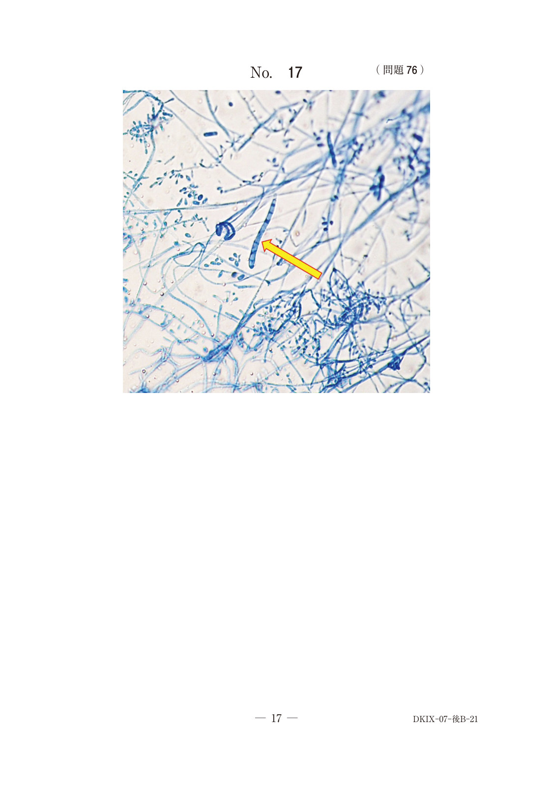 この問題の図(公式別冊)