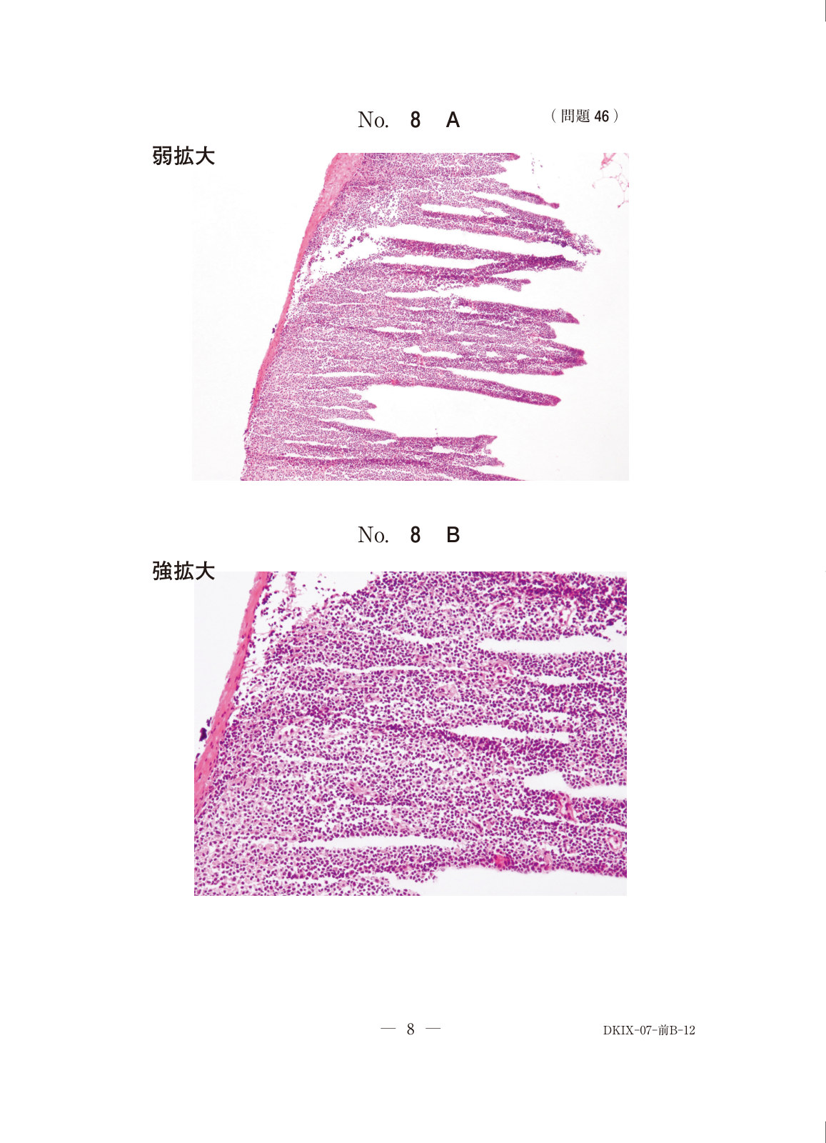 この問題の図（公式別冊）