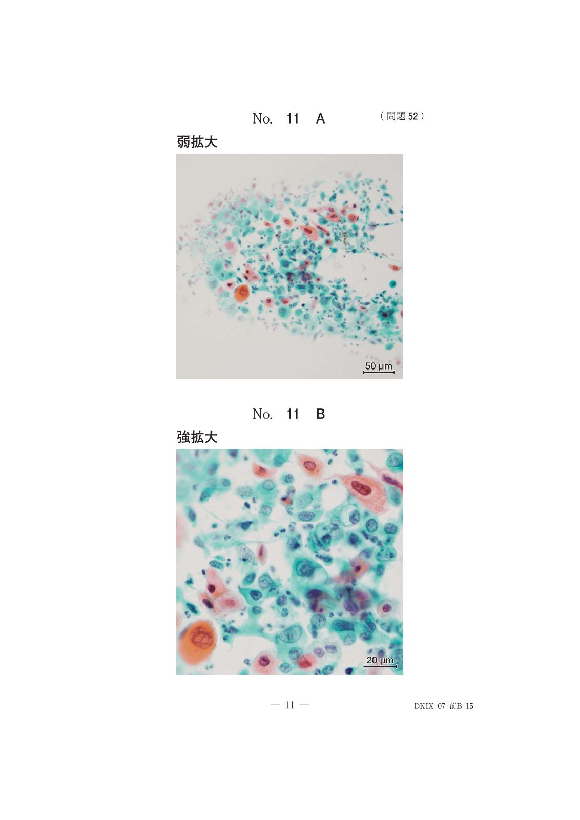 この問題の図（公式別冊）
