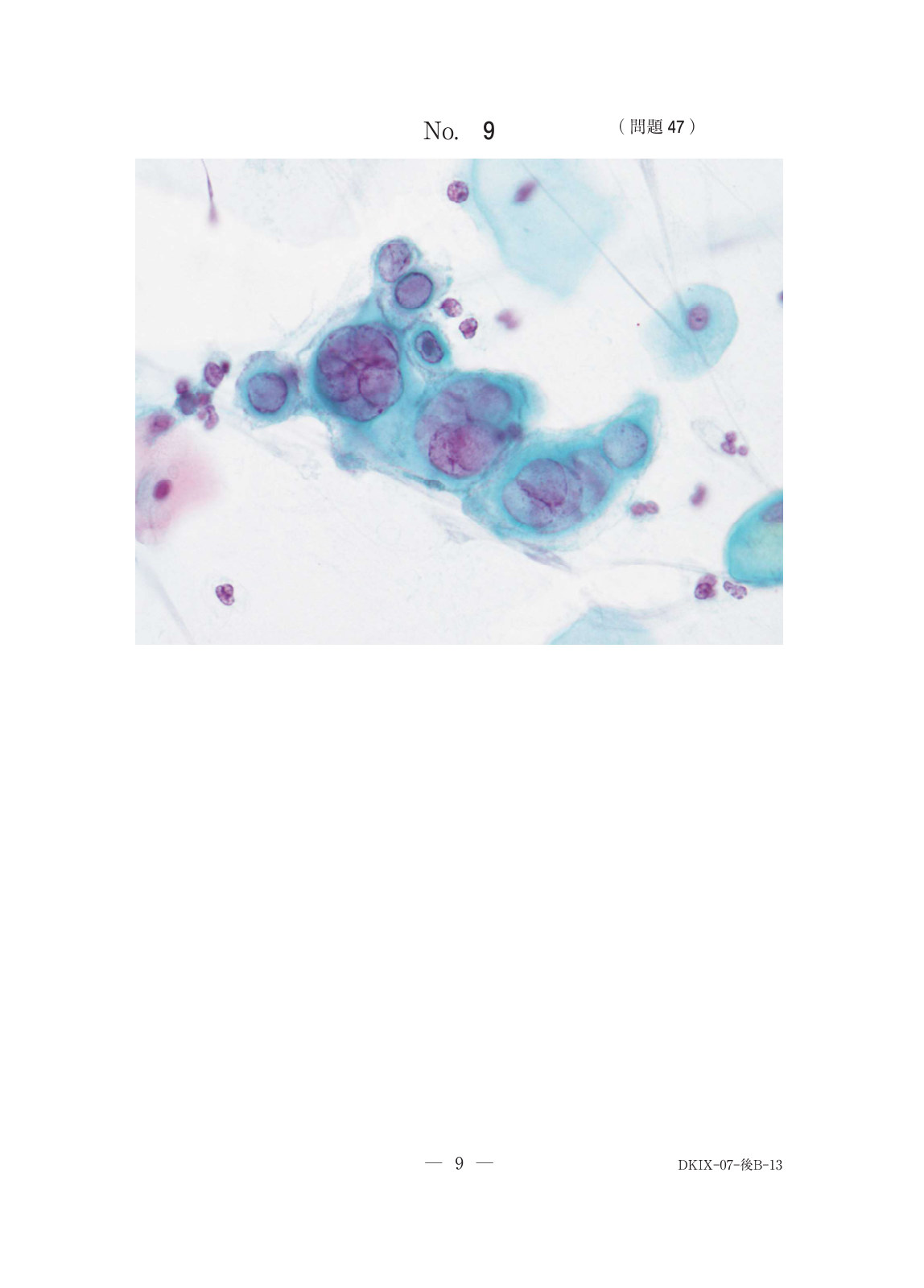 この問題の図(公式別冊)