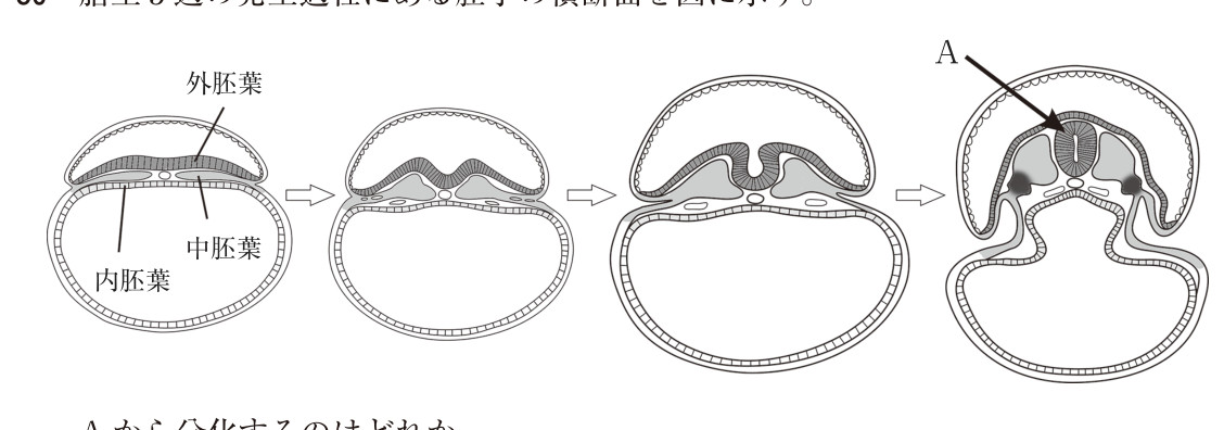 この問題の図(公式別冊)