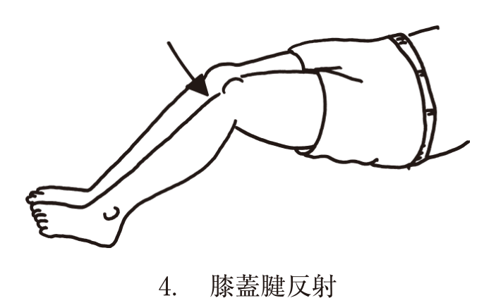 選択肢4