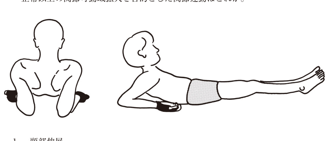 この問題の図(公式別冊)