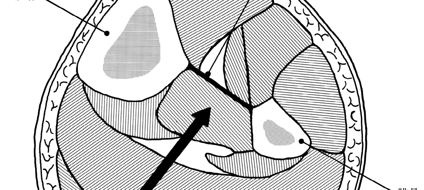 この問題の図(公式別冊)