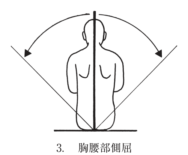 選択肢3