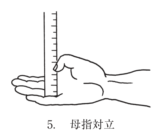 選択肢5