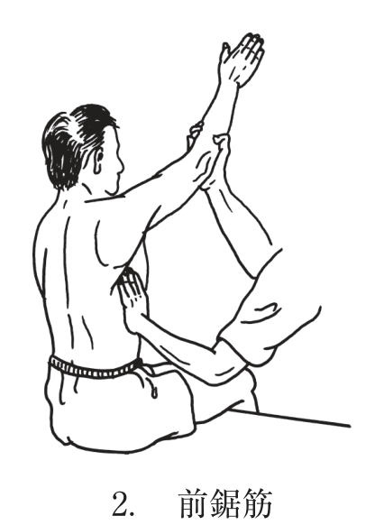選択肢2