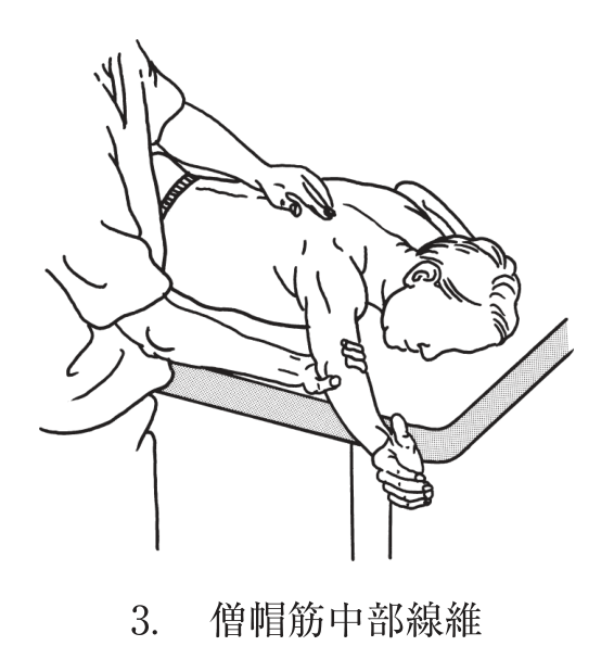 選択肢3