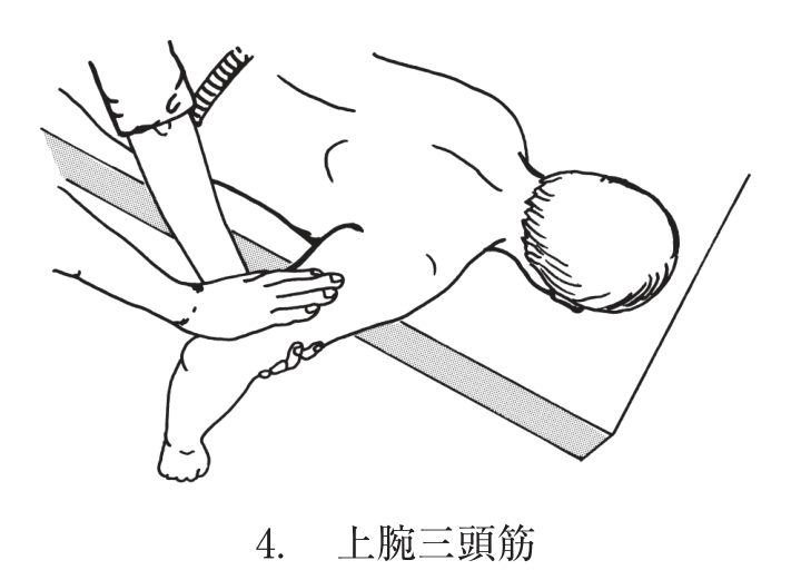 選択肢4