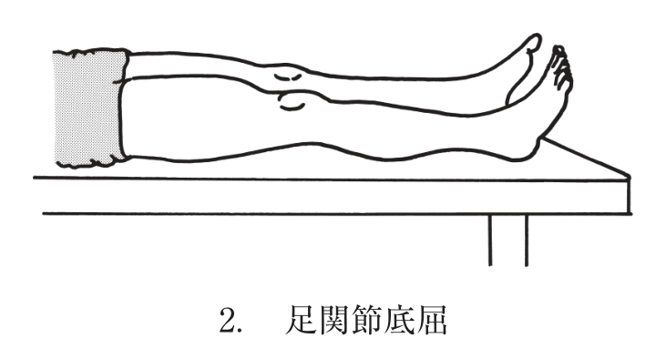 選択肢2