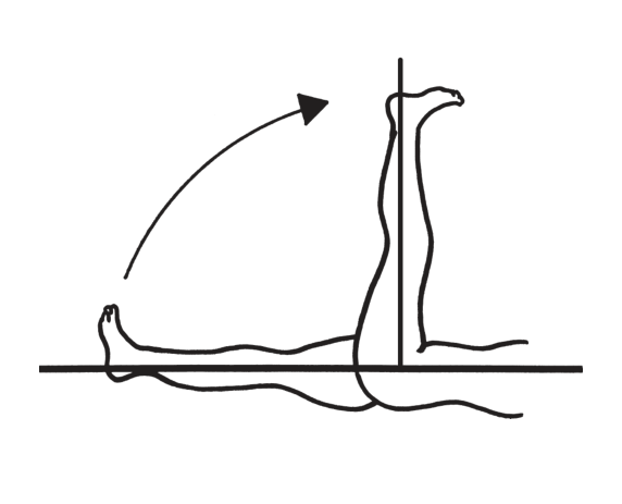 選択肢4