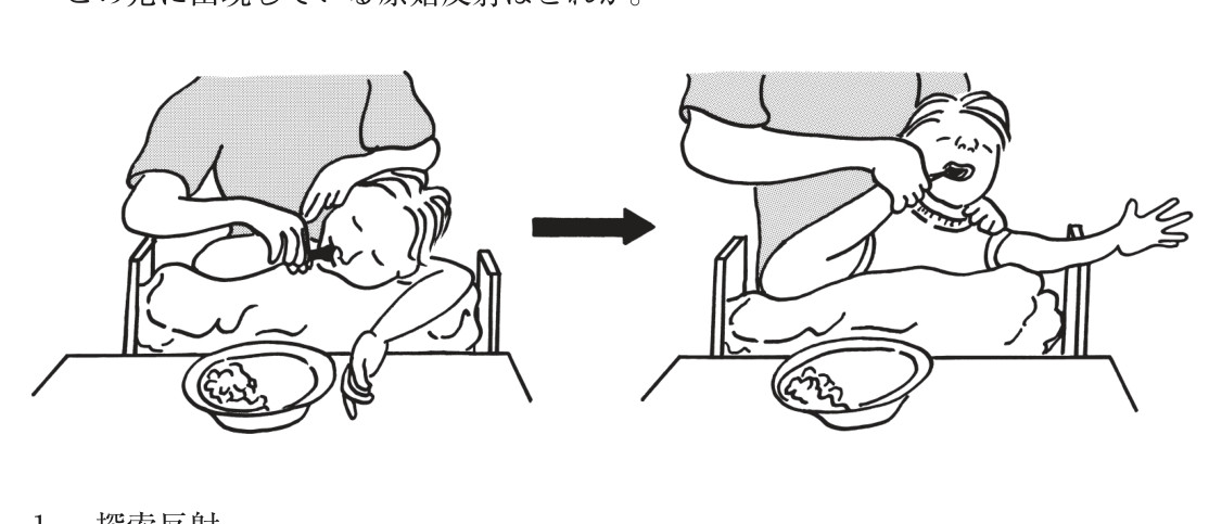 この問題の図(公式別冊)