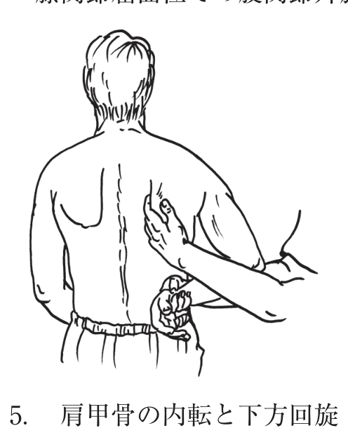 選択肢5