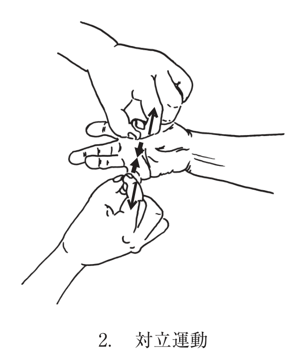 選択肢2