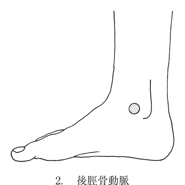 選択肢2