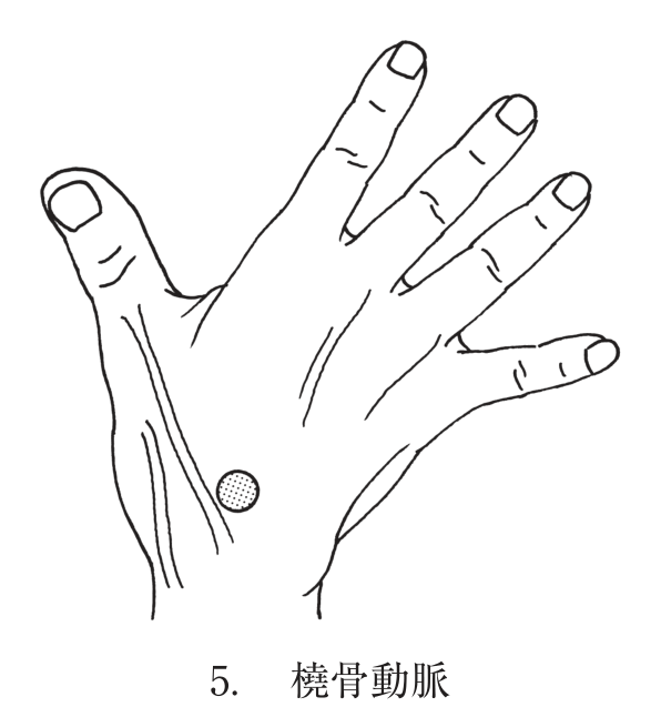 選択肢5