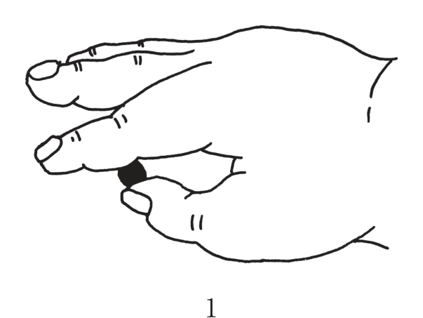 選択肢1
