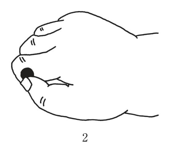 選択肢2