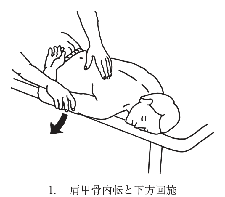 選択肢1