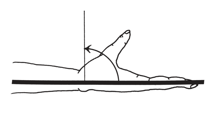 選択肢1