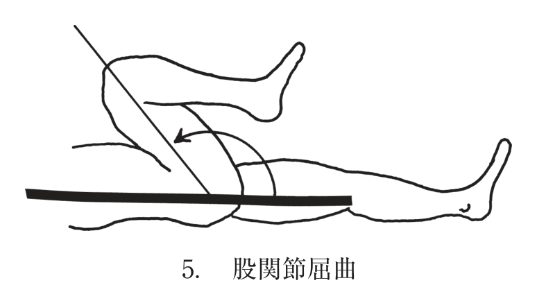 選択肢5