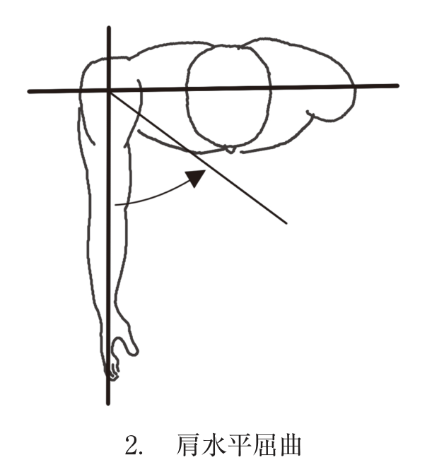 選択肢2