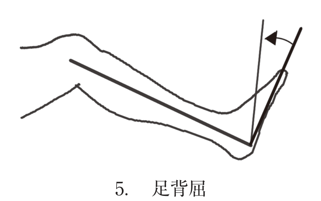 選択肢5