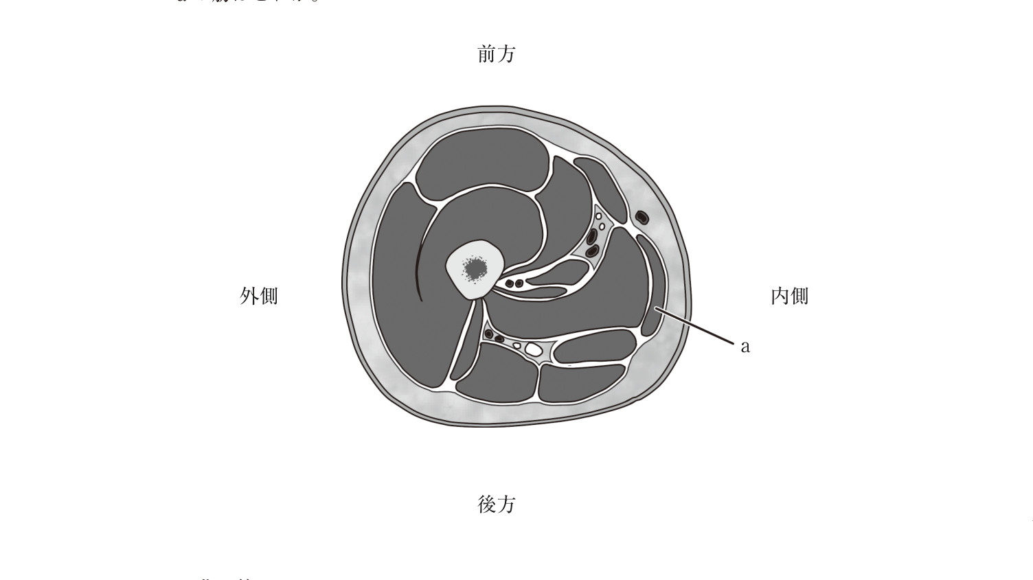 この問題の図(公式別冊)