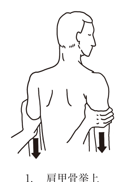 選択肢1