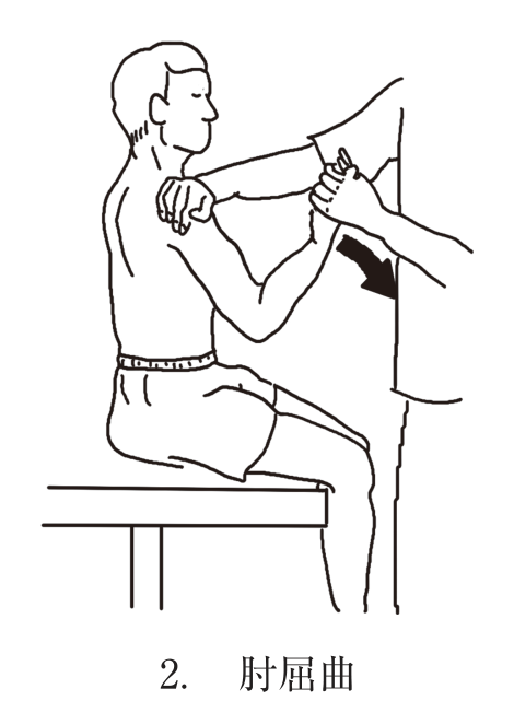 選択肢2