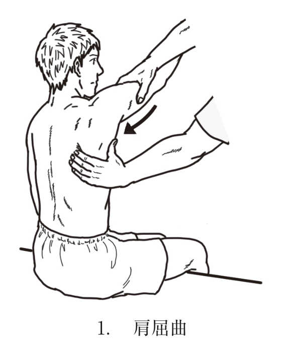 選択肢1