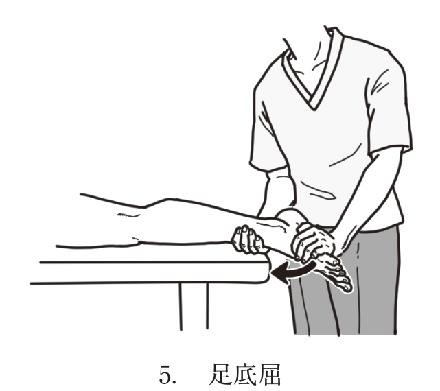 選択肢5