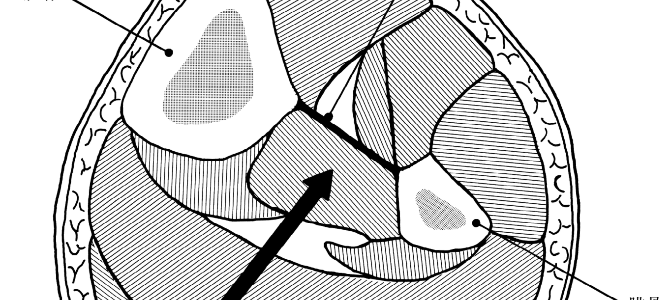 この問題の図(公式別冊)