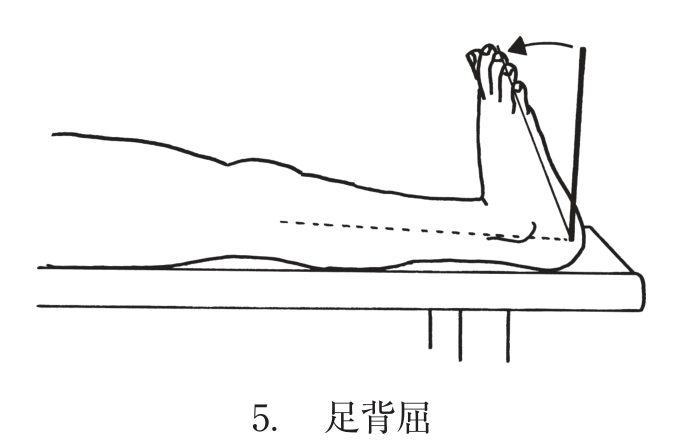 選択肢5