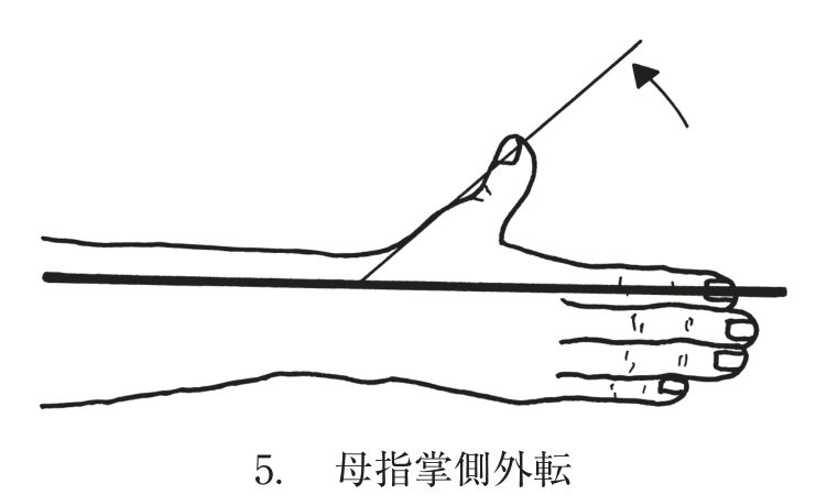選択肢5