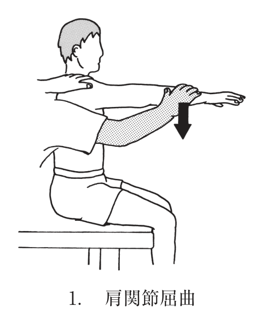 選択肢1