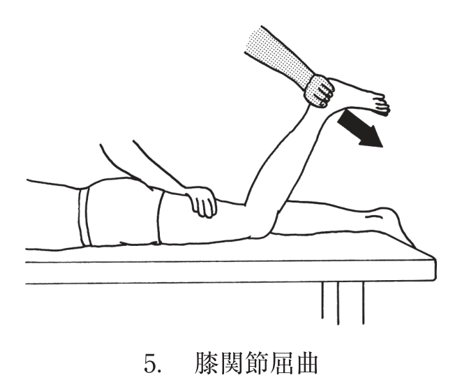 選択肢5
