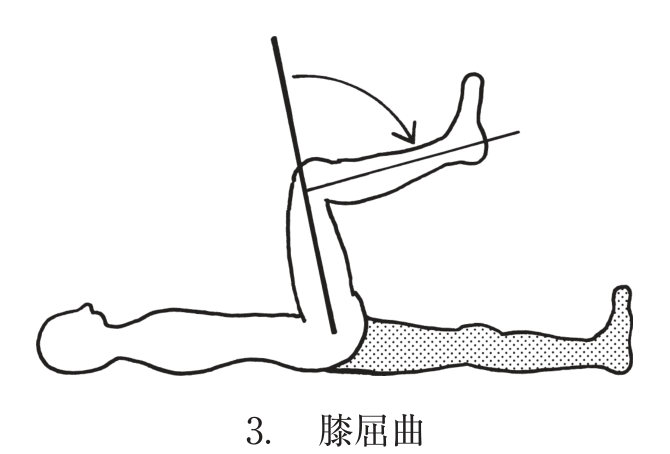 選択肢3