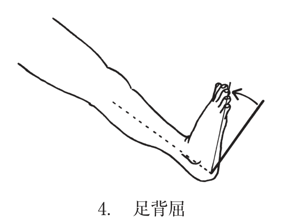 選択肢4