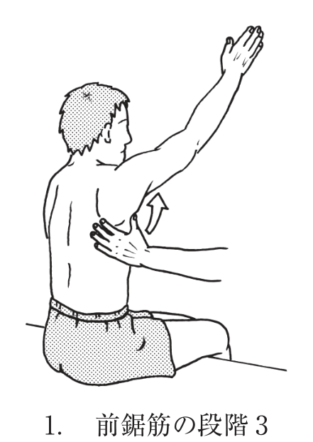 選択肢1