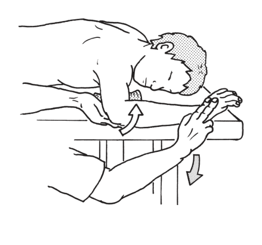 選択肢2