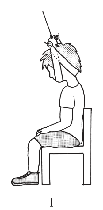 選択肢1
