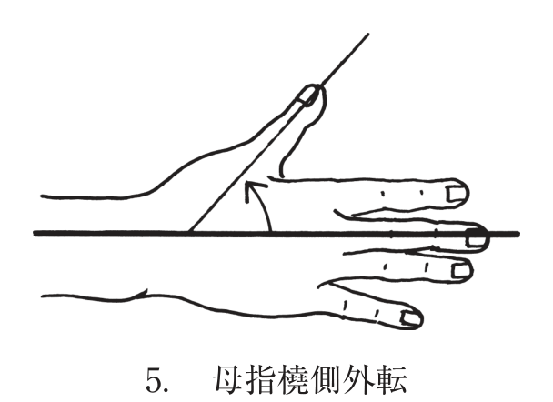 選択肢5
