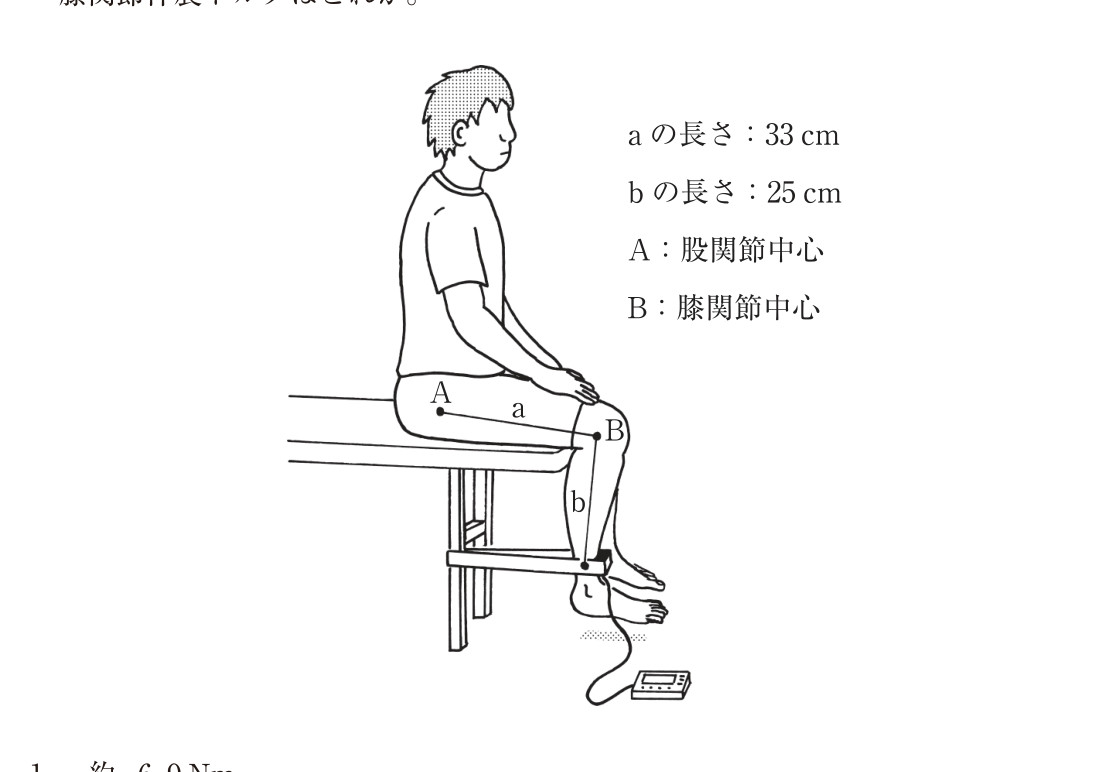 この問題の図（公式別冊）