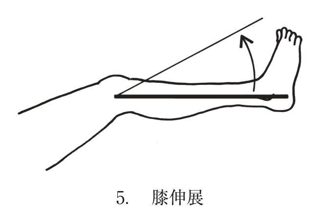選択肢5