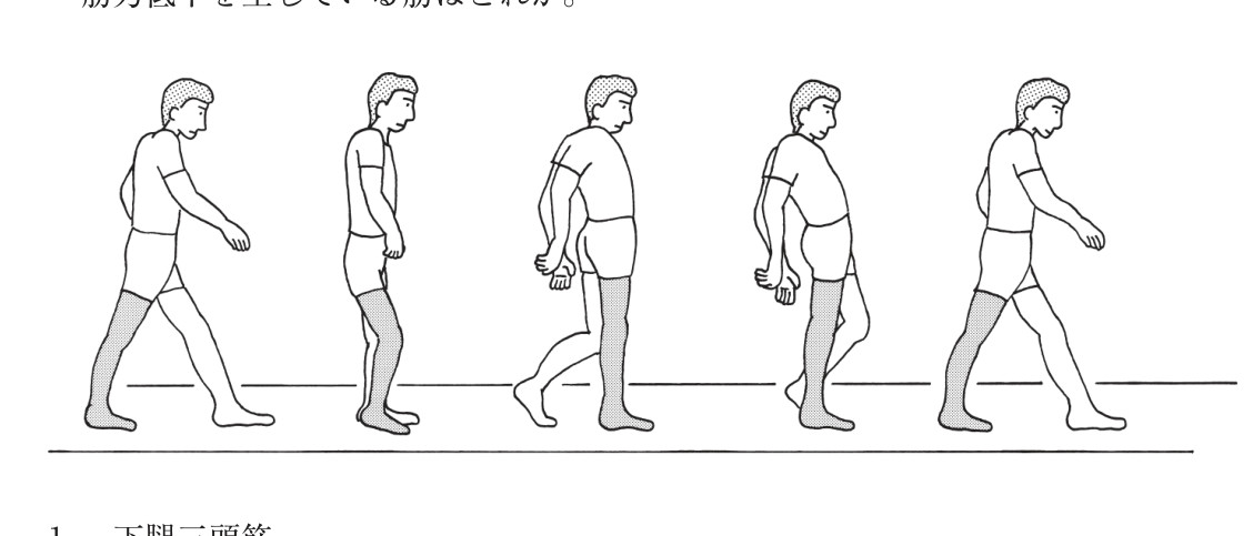 この問題の図（公式別冊）