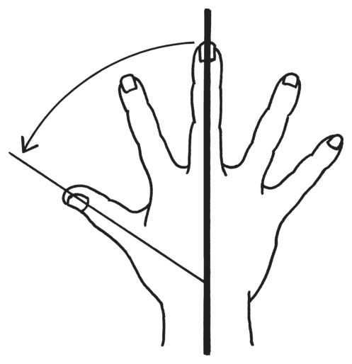 選択肢5
