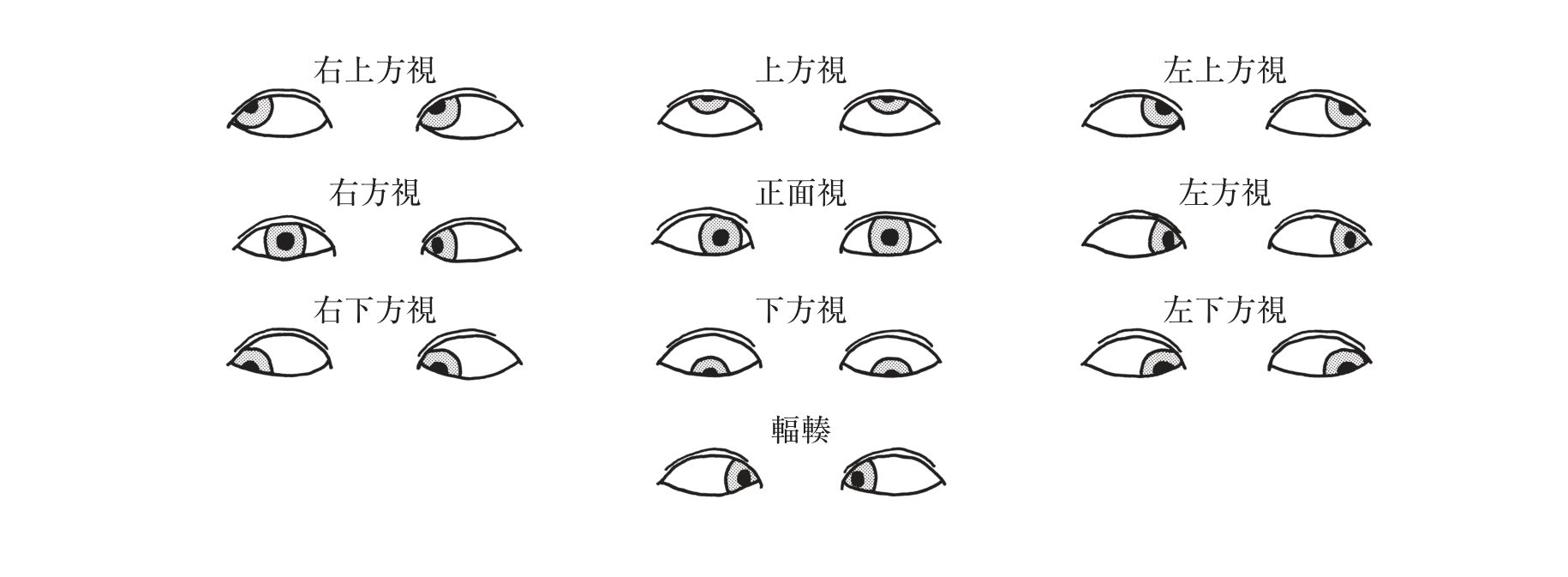 この問題の図(公式別冊)